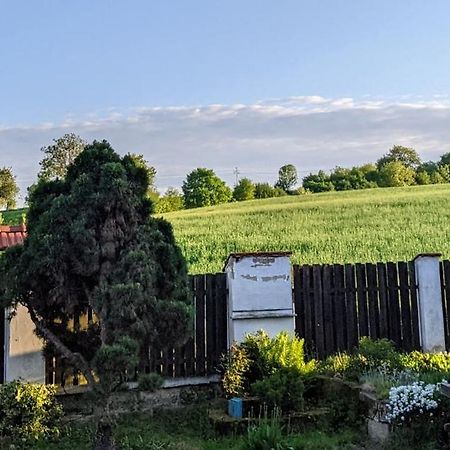 Chalupa U Rybnika Strehom Dolní Bousov Esterno foto