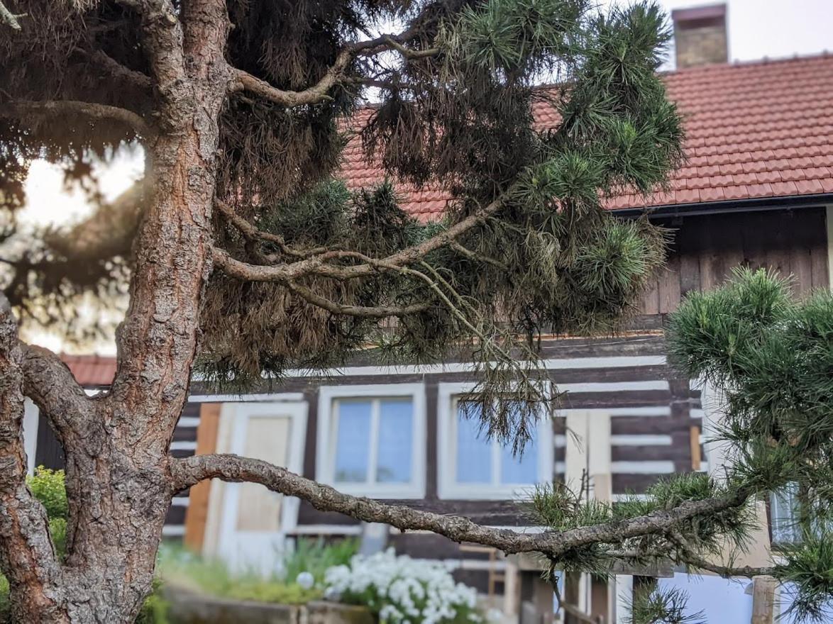 Chalupa U Rybnika Strehom Dolní Bousov Esterno foto