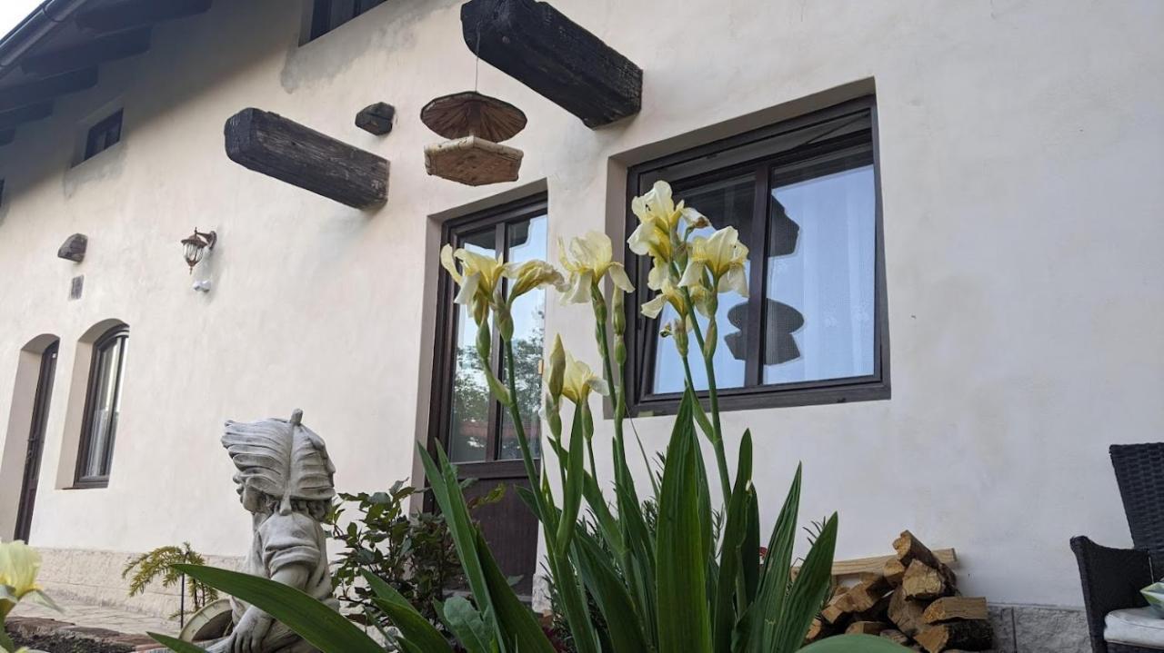 Chalupa U Rybnika Strehom Dolní Bousov Esterno foto