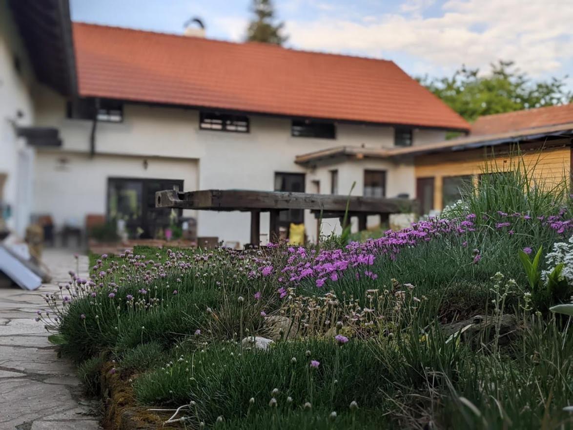 Chalupa U Rybnika Strehom Dolní Bousov Esterno foto